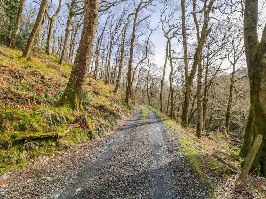 Pandy Farm - Waen Fechan Dolgellau Esterno foto